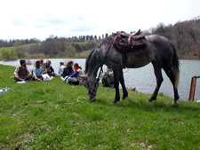 Italy-Tuscany-Relaxed Tuscan Ride in Maremma